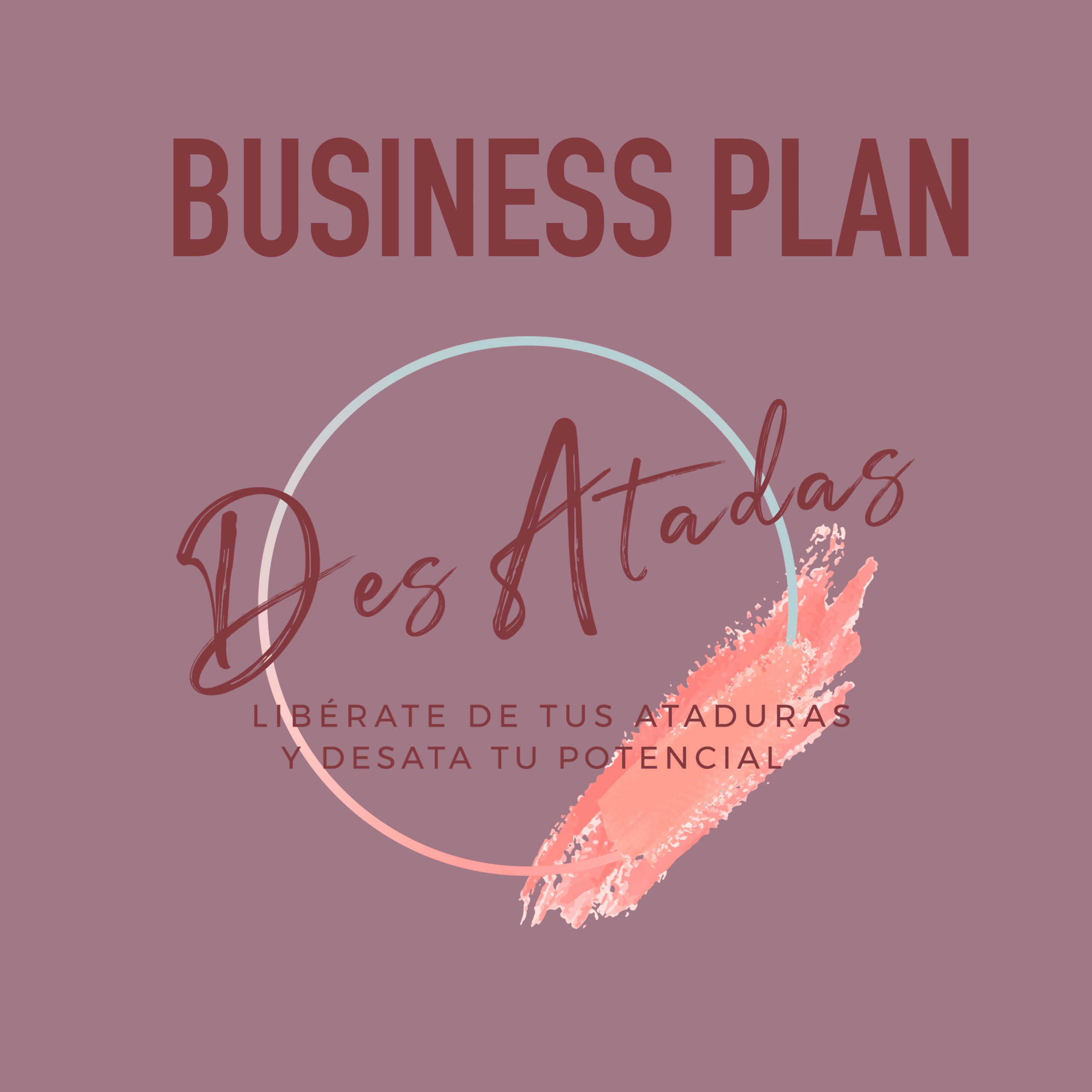 Business Plan – DesAtadas